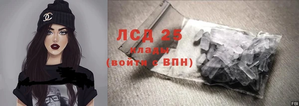 шишки Гусев