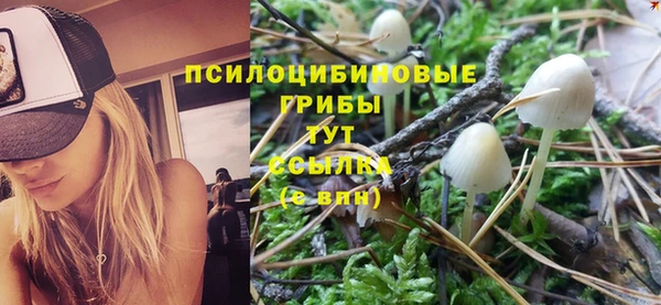 винт Бугульма