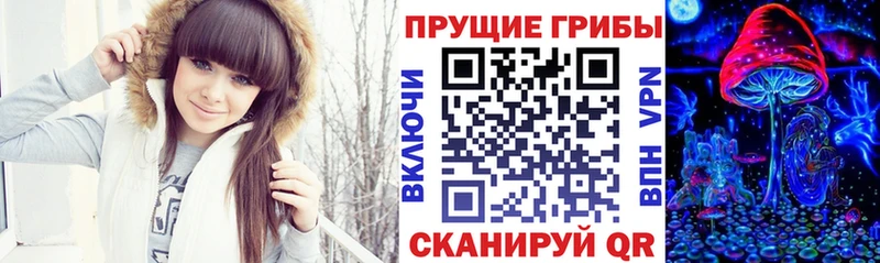Псилоцибиновые грибы Magic Shrooms  Моздок 
